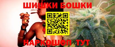 МДПВ Партизанск