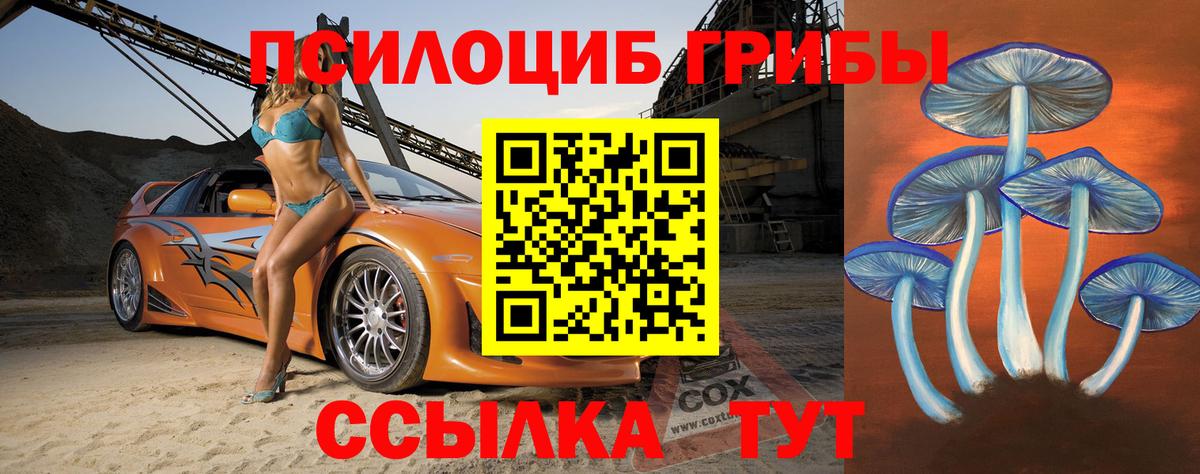 наркотики  Псилоцибиновые грибы Cubensis  Вход с VPN  Сургут 