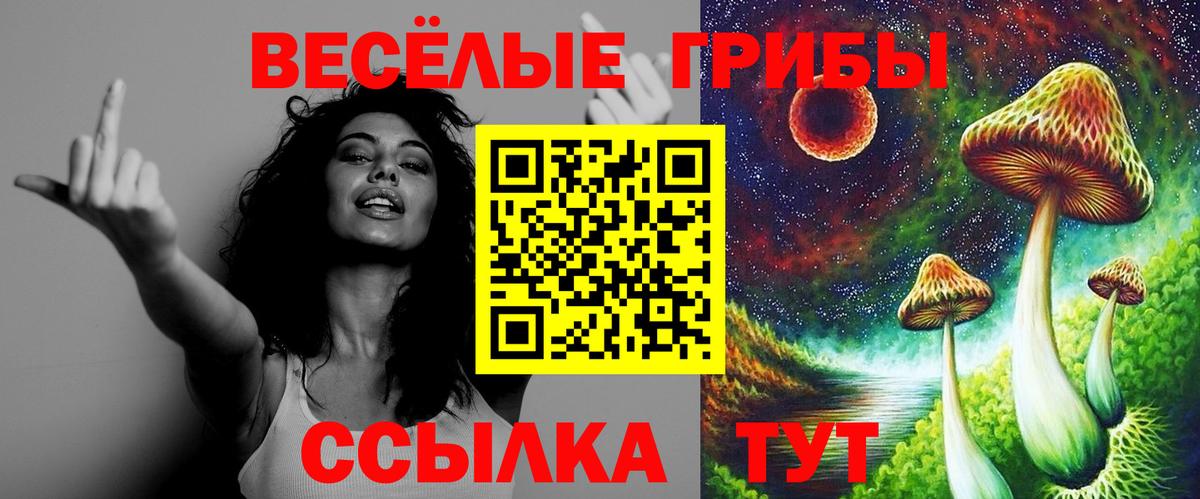 Псилоцибиновые грибы Cubensis Сургут